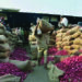 TN launches sale of onion at Rs 45 a kilo, Stalin alleges hoarding behind price rise