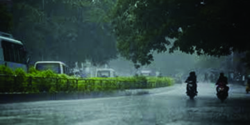 Overnight rain batters Chennai, suburban pockets; water-logging reported in many parts, more showers predicted