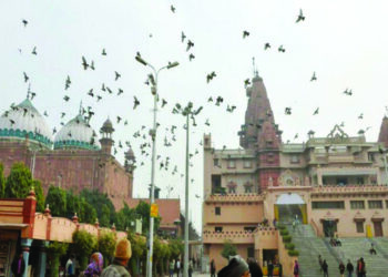 Mathura court admits plea seeking removal of mosque near Lord Krishna temple