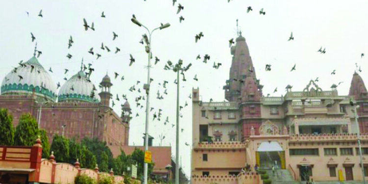 Mathura court admits plea seeking removal of mosque near Lord Krishna temple