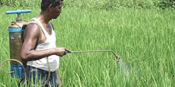 NACL Industries acquires 19.7 acres land to set up agrochemical plant at Dahej in Gujarat