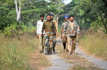 West Bengal: Research scholars, postgraduates apply for forest assistant job requiring class 8 pass