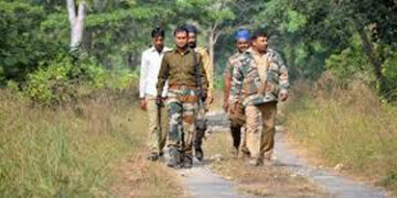 West Bengal: Research scholars, postgraduates apply for forest assistant job requiring class 8 pass