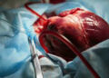 Organ donation helps CIMS Hospital to conduct 12th successful heart transplant