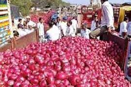 To check prices of special tear-jerker onion, Govt imposes stock limits
