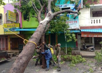 Post Cyclone Nivar: Indian Army teams swiftly restores normalcy