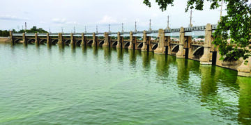 Mettur dam water level crosses 100 ft for fourth time this year