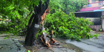 Cyclone Nivar: TN Chief Minister declares public holiday on Nov 25