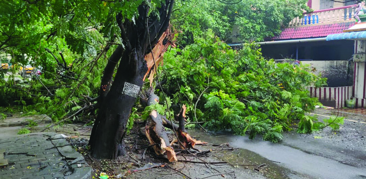 Cyclone Nivar: TN Chief Minister declares public holiday on Nov 25