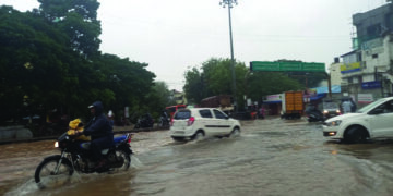 Cyclone Nivar impact: Heavy rains batter Puducherry, trees uprooted in several areas