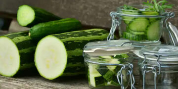 IIT Kharagpur researchers develop cellulose nano-crystals from cucumber peels for food packaging