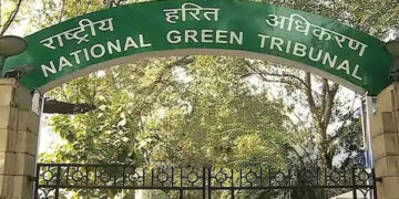 Ship recycling at Alang Sosiya: NGT asks project proponent to ensure process is environment friendly