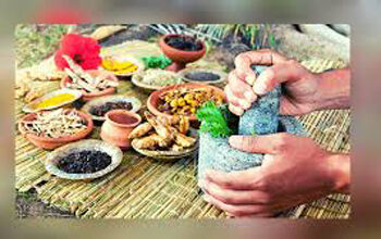 WHO to set up centre for traditional medicine in India, PM says matter of pride