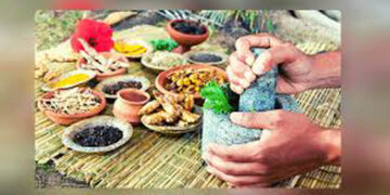 WHO to set up centre for traditional medicine in India, PM says matter of pride