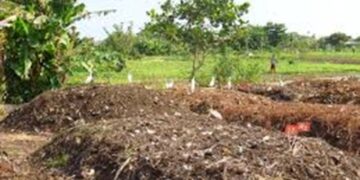 AP govt to launch watershed projects in five districts
