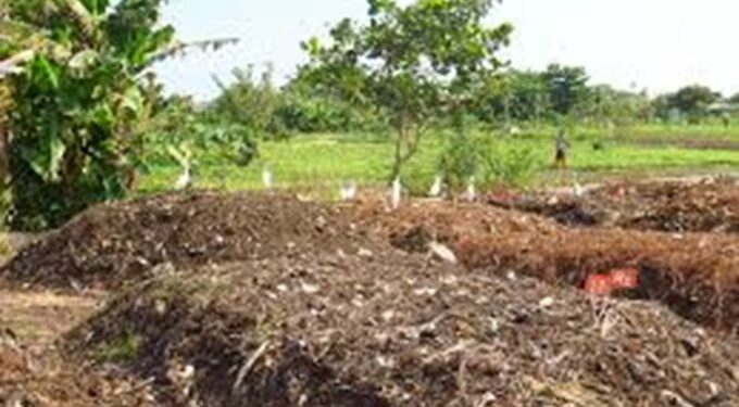AP govt to launch watershed projects in five districts