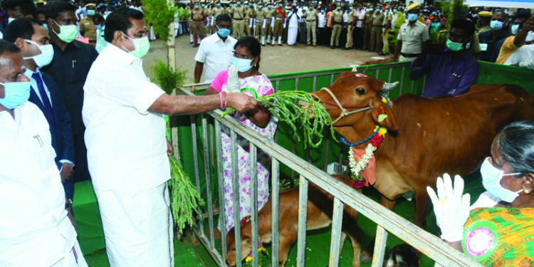 Let Rajnikanth first register the party, OPS welcoming Superstar’s political plunge is his own: TN Chief Minister