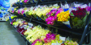 One airport could have been designated in north India for import of flowers: Delhi HC