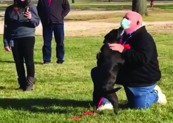 3 years after missing, pet dog and Michigan owners reunited in US