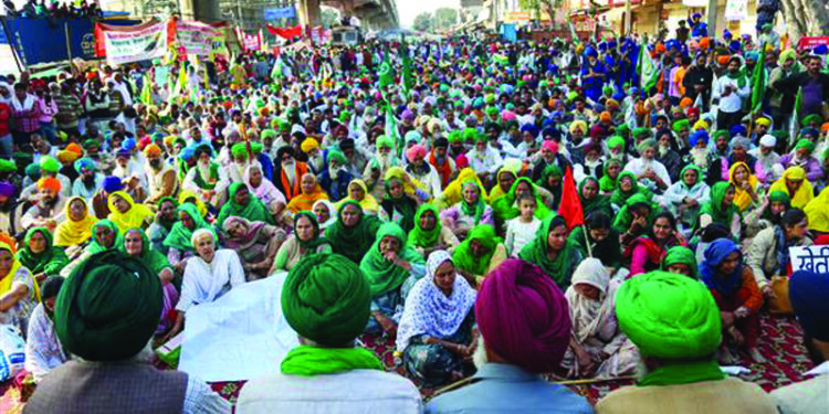 Faridkot farmer pedals 400 km to reach Tikri border with poem of “Pash”