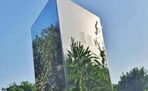 Now, ‘monolith’ surfaces in Ahmedabad garden