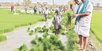 TN heading towards second green revolution, says Minister Velumani