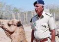 Gujarat police have biggest reserve of 574 animals for security service