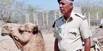 Gujarat police have biggest reserve of 574 animals for security service