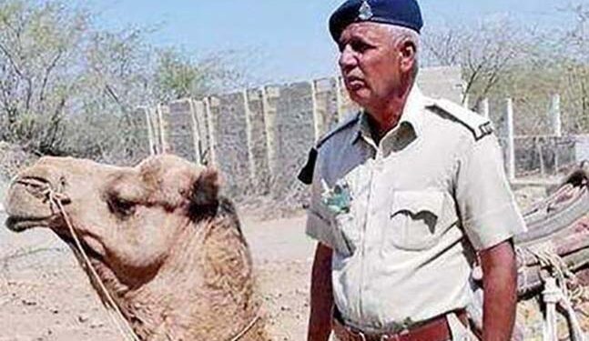 Gujarat police have biggest reserve of 574 animals for security service
