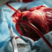 Organ transplantation: Heart flown in from Vadodara to Delhi