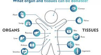 Organs of brain dead Surat boy donated to five children, including two foreigners