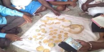 Villagers strike gold during ‘Chola period’ Lord Shiva temple renovation at Uthiramerur in TN