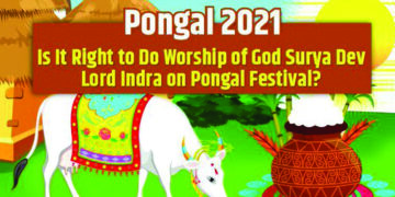 Puducherry Lt Governor, CM, leaders extend Pongal greetings