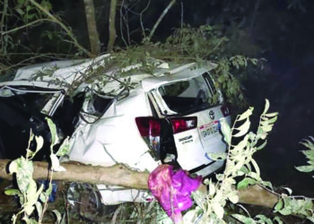 Union minister Shripad Naik injured, his wife Vijaya, personal assistant killed in Karnataka road accident