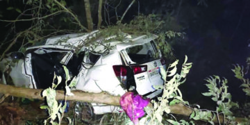Union minister Shripad Naik injured, his wife Vijaya, personal assistant killed in Karnataka road accident