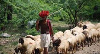 After languishing in Pak jail for 13 years, Kutch cattle herder returns to India