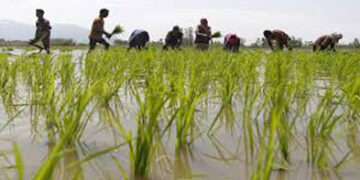 Farmers’ protest: 10th round of talks postponed to Wednesday