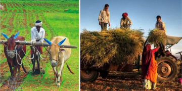 Budget 2021-22: Govt should provide additional funds, incentives for agri sector, say experts