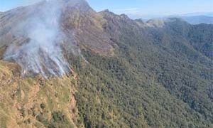SC to hear next week plea seeking direction to protect forests & wildlife from fires in Uttarakhand