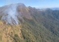 Forest fire in Nagaland’s Dzukou Range under control: Officials