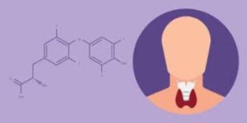 Zydus Cadila gets USFDA nod for thyroid drug