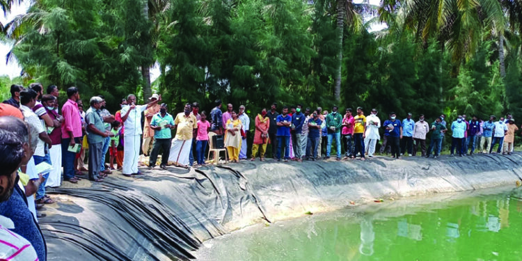 TN farmers participate in Isha Agro Movement organises Farm Tour