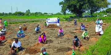 Cauvery Calling to hold plantation drive in Tirupur on Sunday