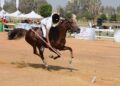 India to host World Cup Qualifiers for Equestrian Tent Pegging from March 11-14