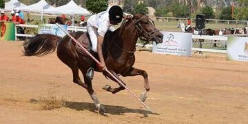 India to host World Cup Qualifiers for Equestrian Tent Pegging from March 11-14