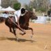 India to host World Cup Qualifiers for Equestrian Tent Pegging from March 11-14