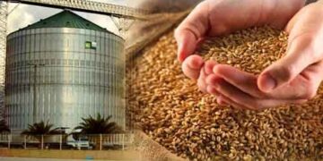 Gujarat govt adds 30 lakh beneficiaries under food law; identifying more people
