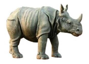 Inspect facilities of Ahmedabad trust which has custody of hippo of Asiad Circus: Delhi HC to AWBI