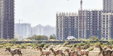 Demand and supply of affordable housing to rise on extension of tax sops but disappointing budget: Realtors