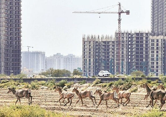 Demand and supply of affordable housing to rise on extension of tax sops but disappointing budget: Realtors